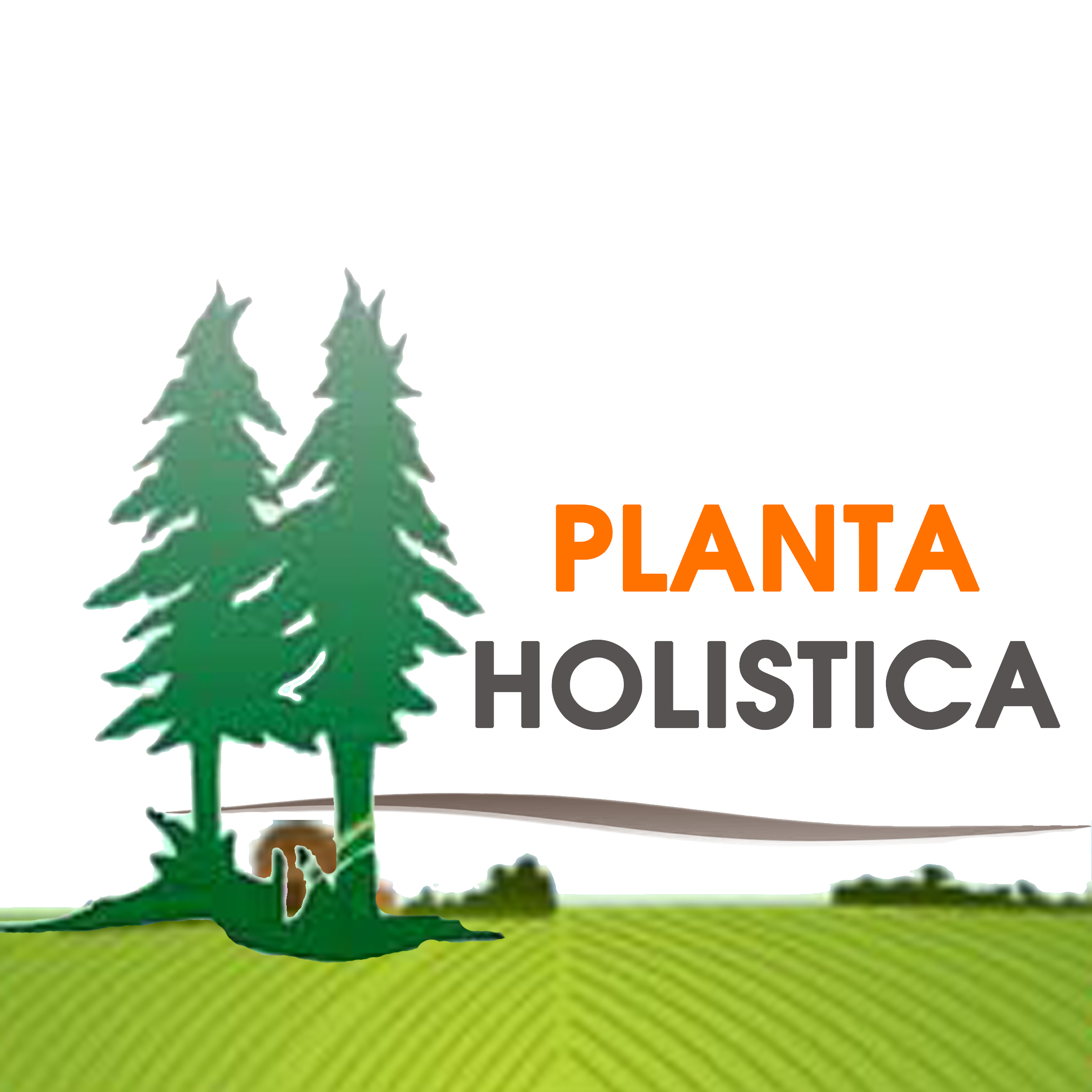 planta